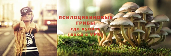 PSILOCYBIN Тихорецк