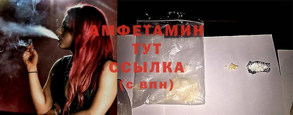 мдпв Новозыбков