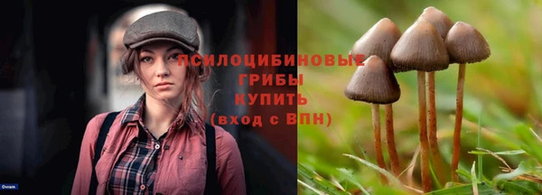 мдпв Новозыбков