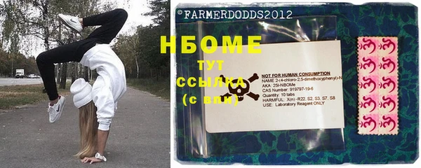 мдпв Новозыбков