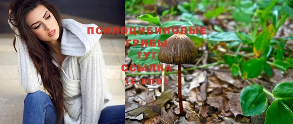 прущие крисы Новокубанск