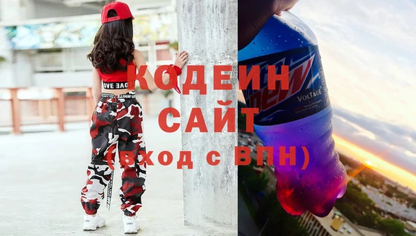 прущие крисы Няндома