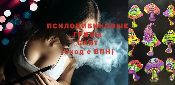 мдпв Новозыбков