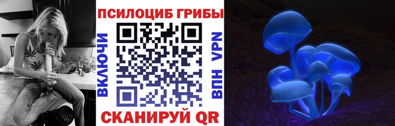 Псилоцибиновые грибы Psilocybine cubensis  где купить наркоту  Кирс 